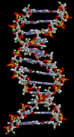 Module 2: Genetics