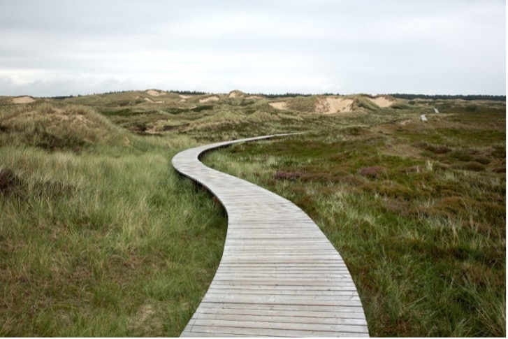 Wooden walkway