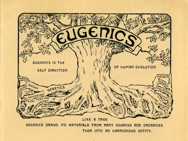 Eugenics A Brief Timeline Of The History Of People With Disabilities